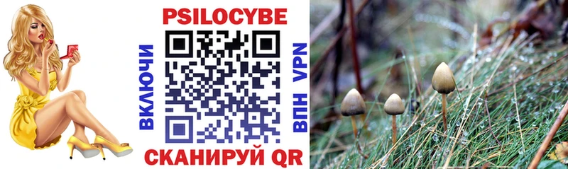 Псилоцибиновые грибы MAGIC MUSHROOMS  Краснодар 